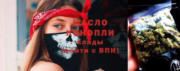 индика Вязники