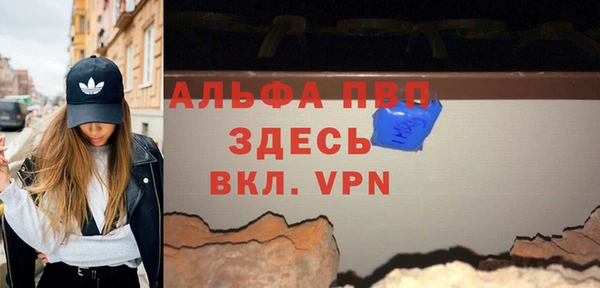 индика Вязники