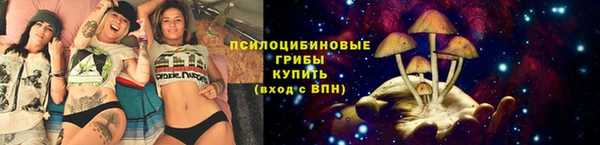 mdpv Вязьма