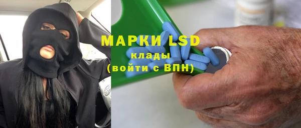 гашик Вяземский