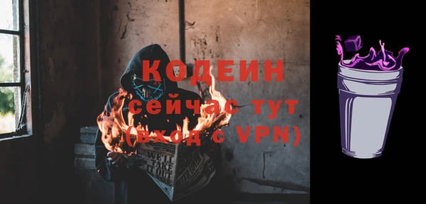индика Вязники
