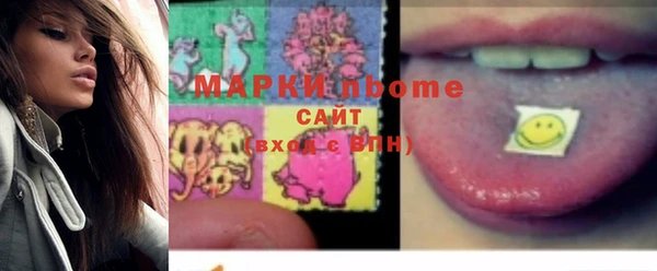 гашик Вяземский