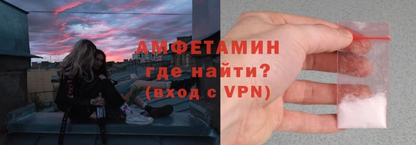 индика Вязники