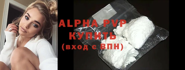 гашик Вяземский