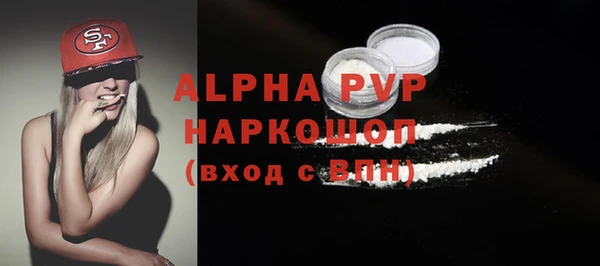 индика Вязники