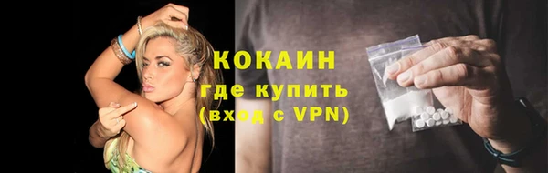 гашик Вяземский