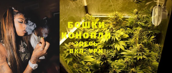 индика Вязники