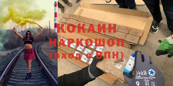 гашик Вяземский