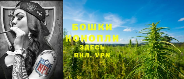 гашик Вяземский