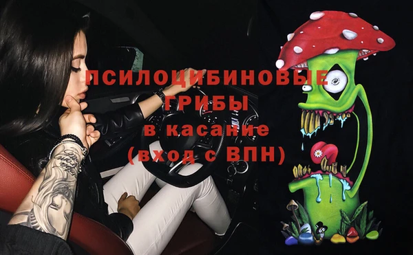 гашик Вяземский