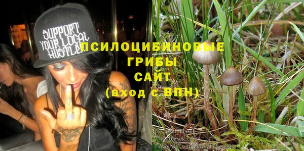 индика Вязники