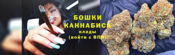 гашик Вяземский