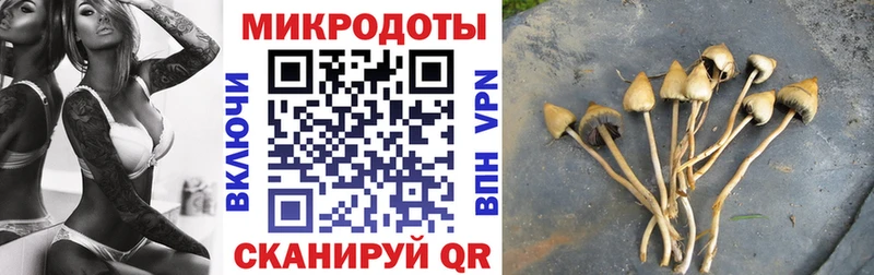 Галлюциногенные грибы Magic Shrooms  Купить закладки  Минусинск 